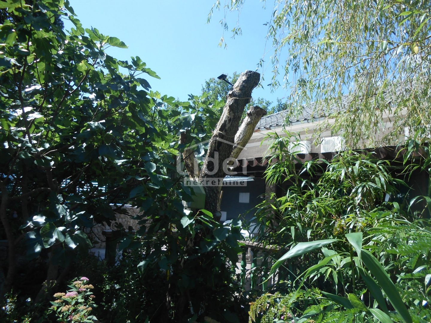 House For sale - Primorsko-goranska Grižane-Belgrad