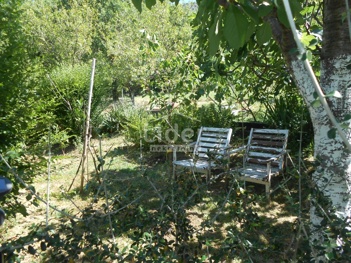 House For sale - Primorsko-goranska Grižane-Belgrad