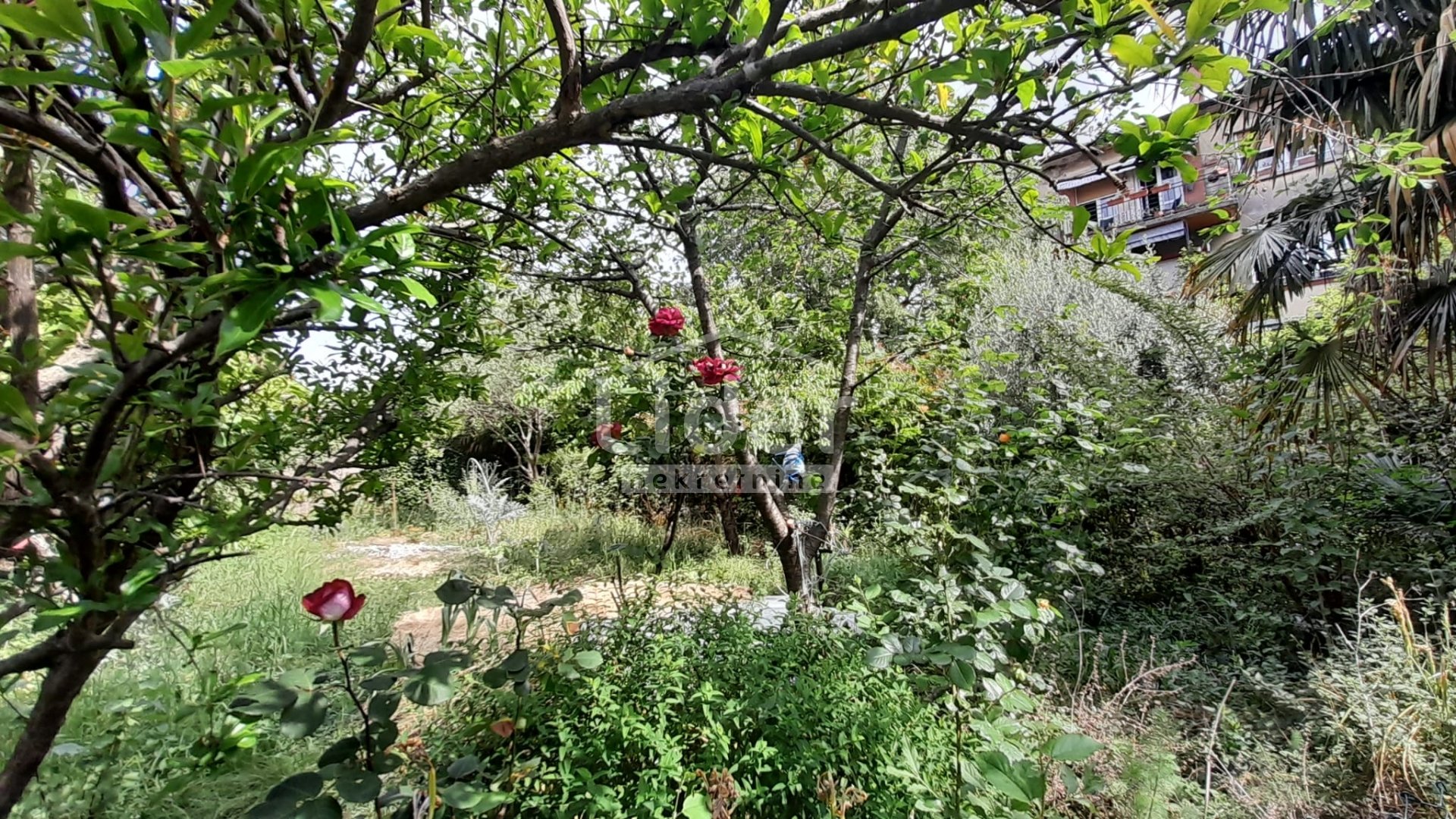 Apartmán Na predaj - Primorsko-goranska Centar
