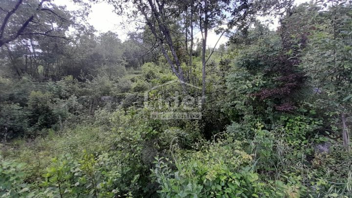 Pozemok Na predaj - Primorsko-goranska Veprinac - foto 4/7