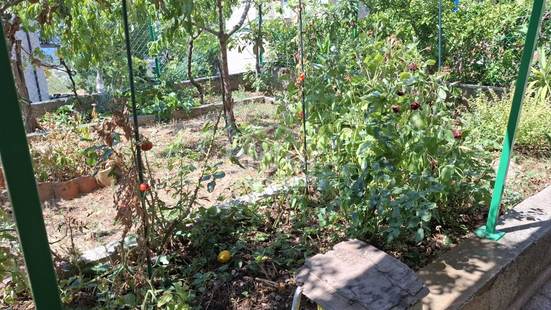 Apartmán Na predaj - Primorsko-goranska Podmurvice