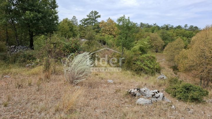 Pozemok na predaj 11797 m² – Klana