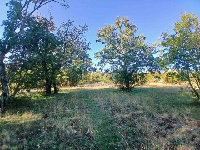 Pozemok na predaj 4133 m² – Čavle