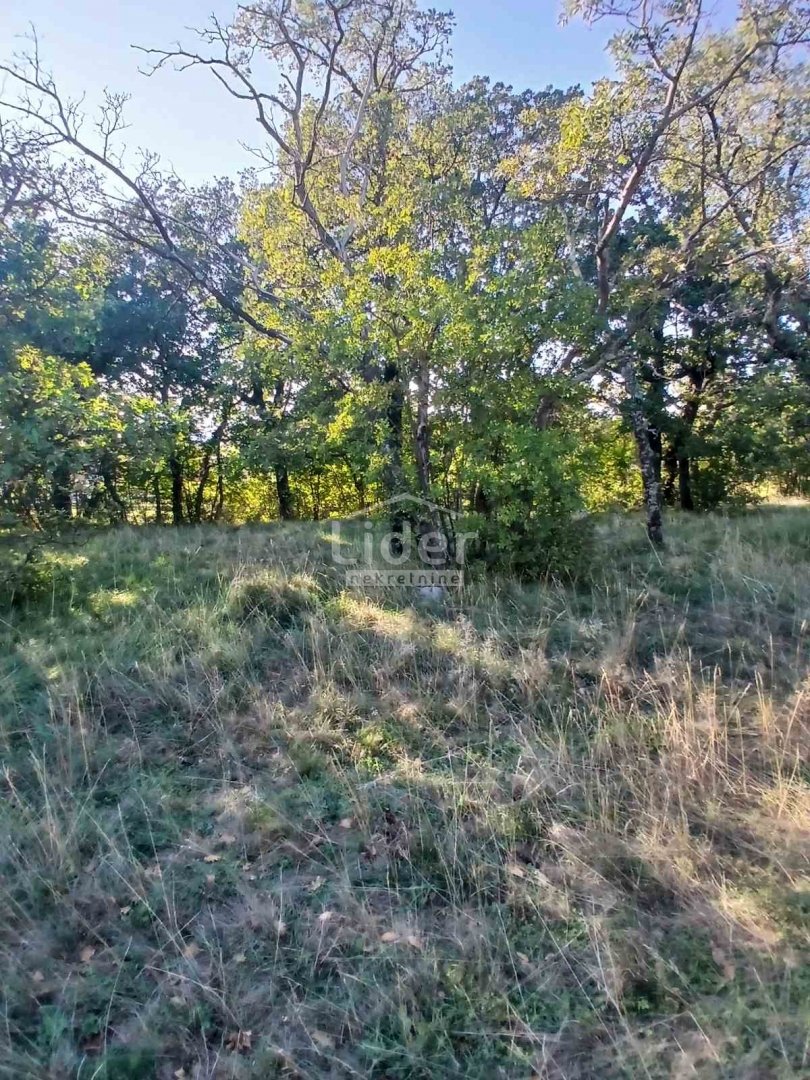 Terrain À vendre - Primorsko-goranska Mavrinci