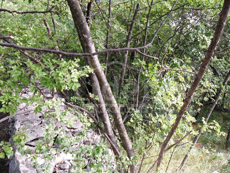 Zemljište Na prodaju - Primorsko-goranska Drenova