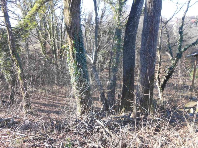 Zemljište Na prodaju - Primorsko-goranska Cernik - foto 4/6