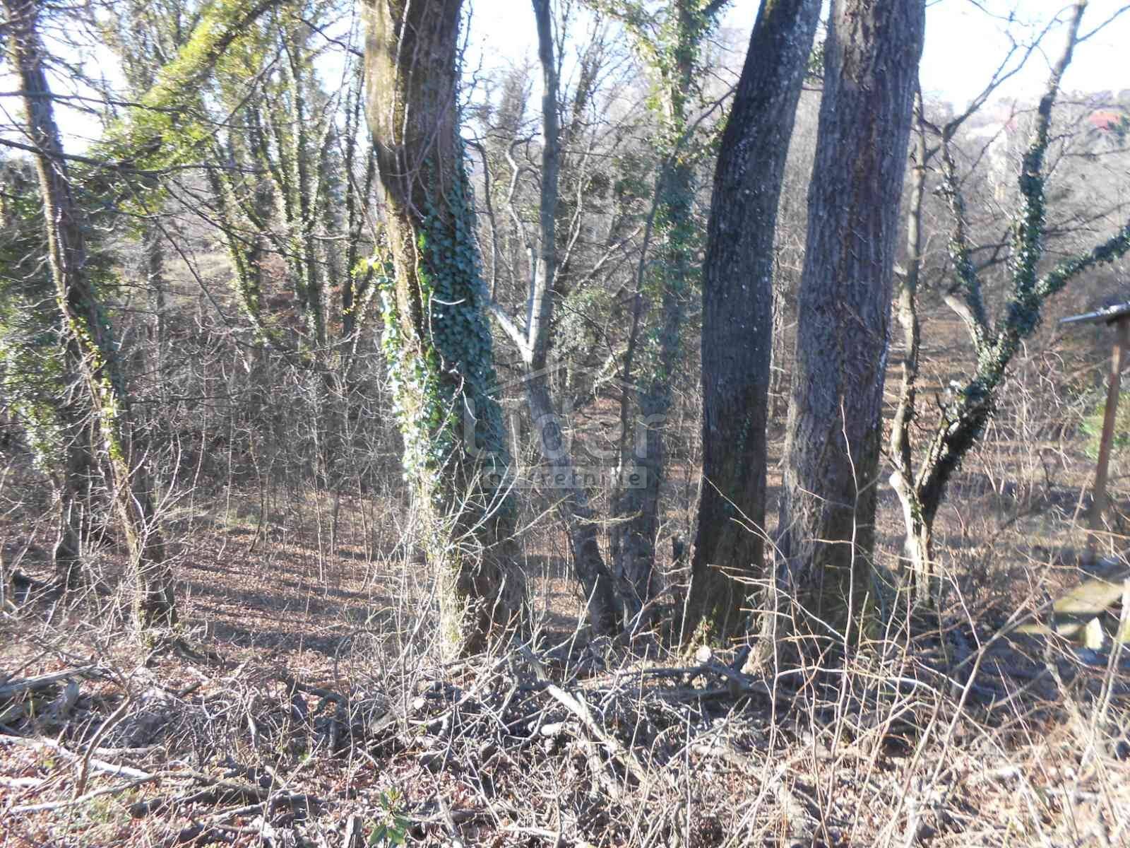 Zemljište Na prodaju - Primorsko-goranska Cernik