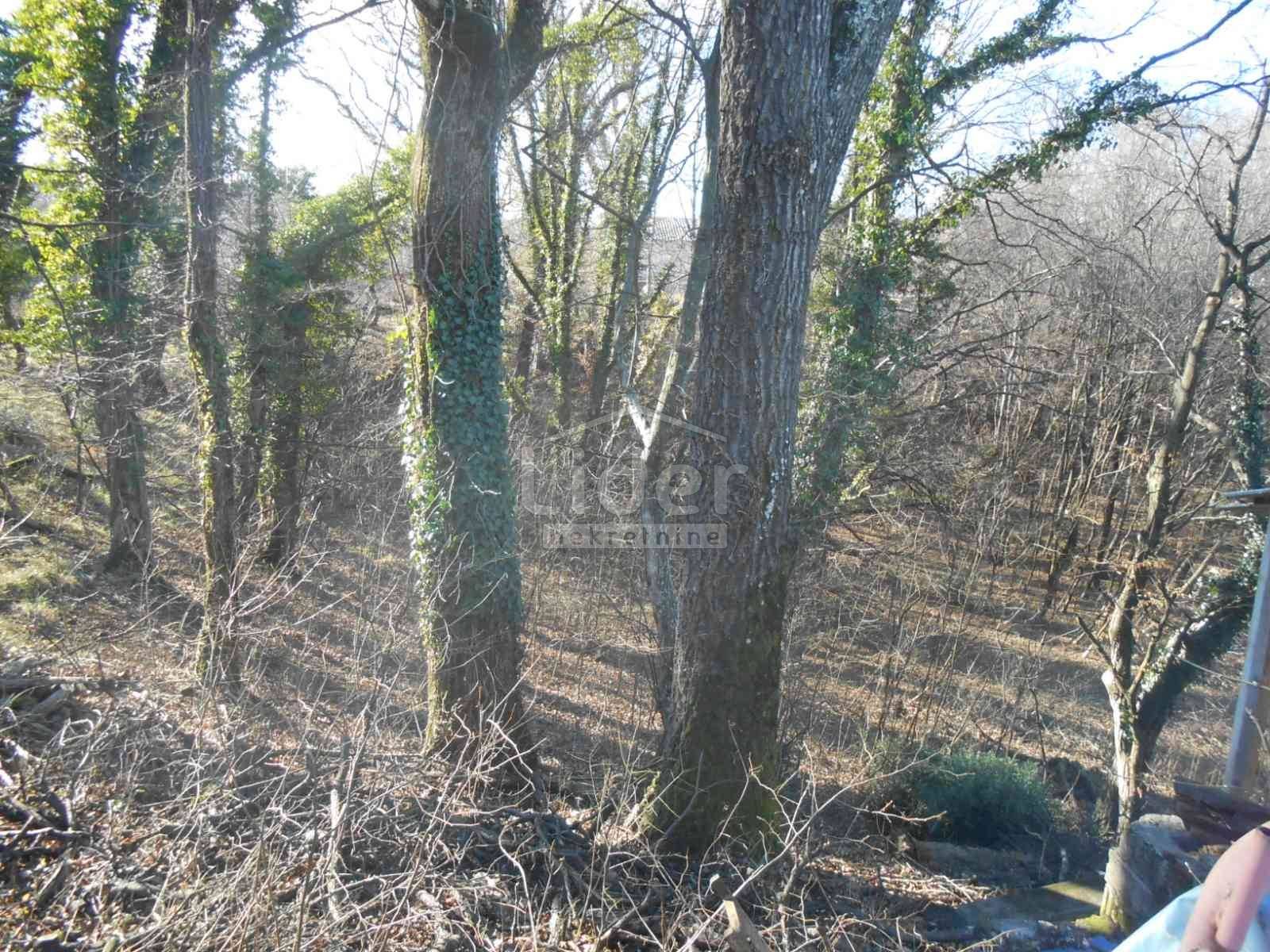 Zemljište Na prodaju - Primorsko-goranska Cernik
