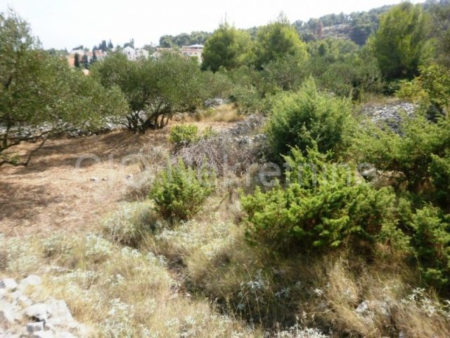 Terrain à vendre 6800 m² – Trogir