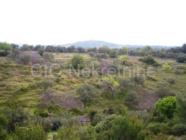 Parcela na predaj 5377 m² – Milna