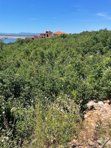 Terreno in vendita 1318 m² – Crikvenica