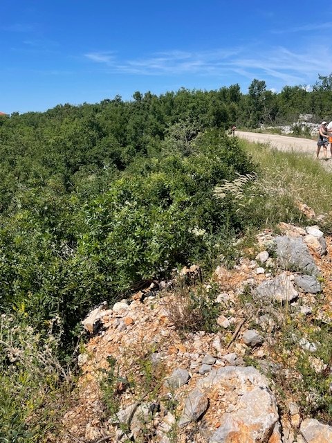 Parcela Na predaj - Primorsko-goranska Jadranovo
