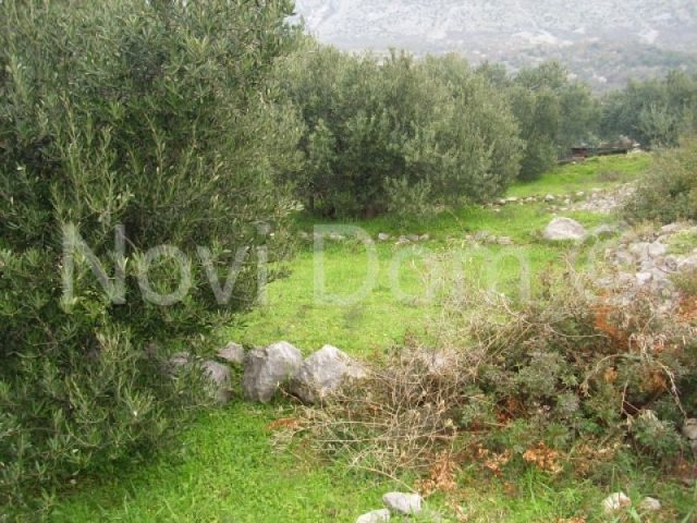 Parcela Naprodaj - Splitsko-dalmatinska Gradac - foto 4/6