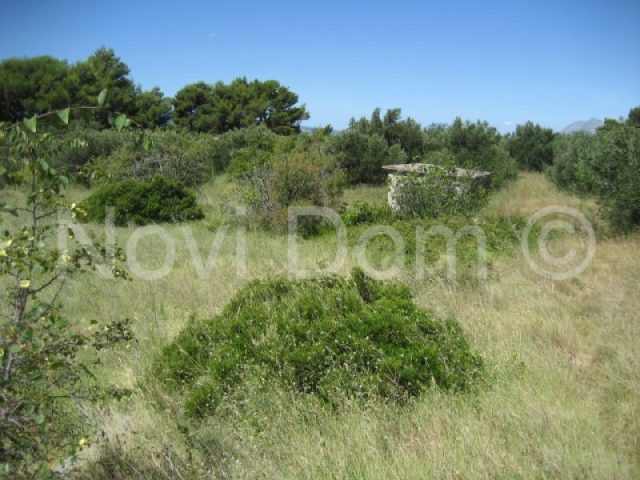 Terrain À vendre - Splitsko-dalmatinska Baška Voda - foto 5/5