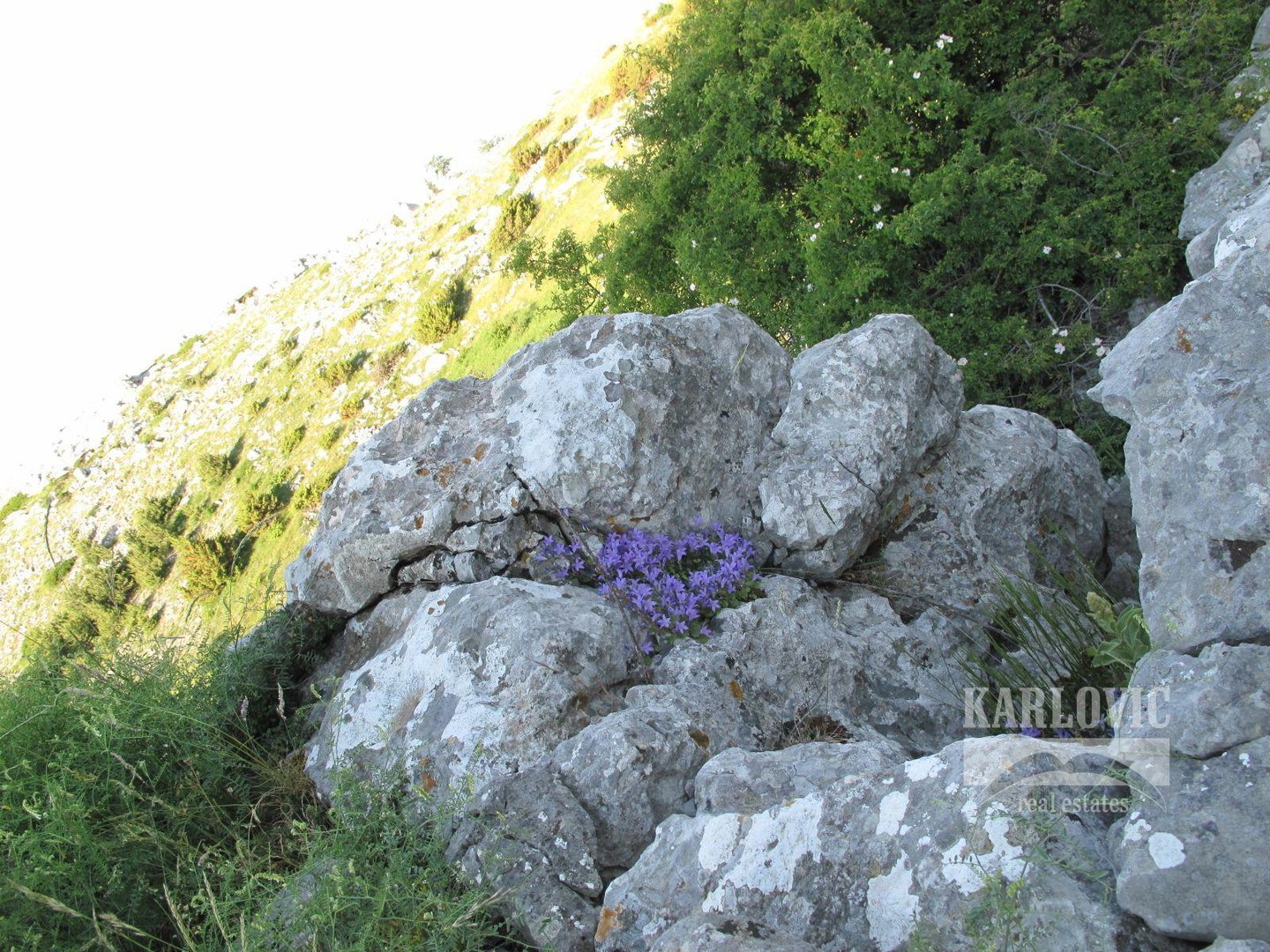 Dům Na prodej - Splitsko-dalmatinska Makarska