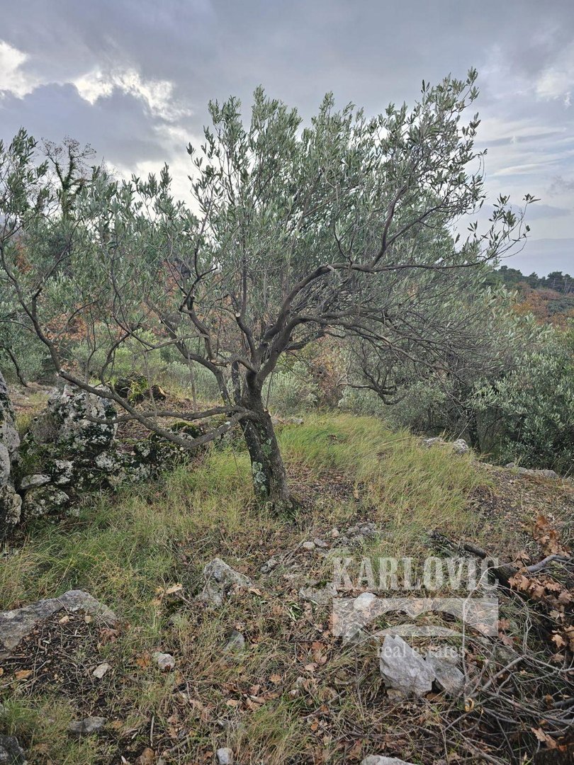 Zemljište Na prodaju - Splitsko-dalmatinska Tučepi