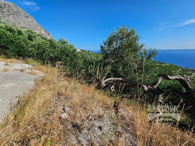 Terreno In vendita - Splitsko-dalmatinska Podgora - foto 5/12