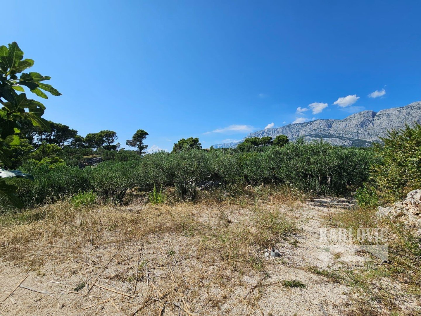 Terreno In vendita - Splitsko-dalmatinska Tučepi