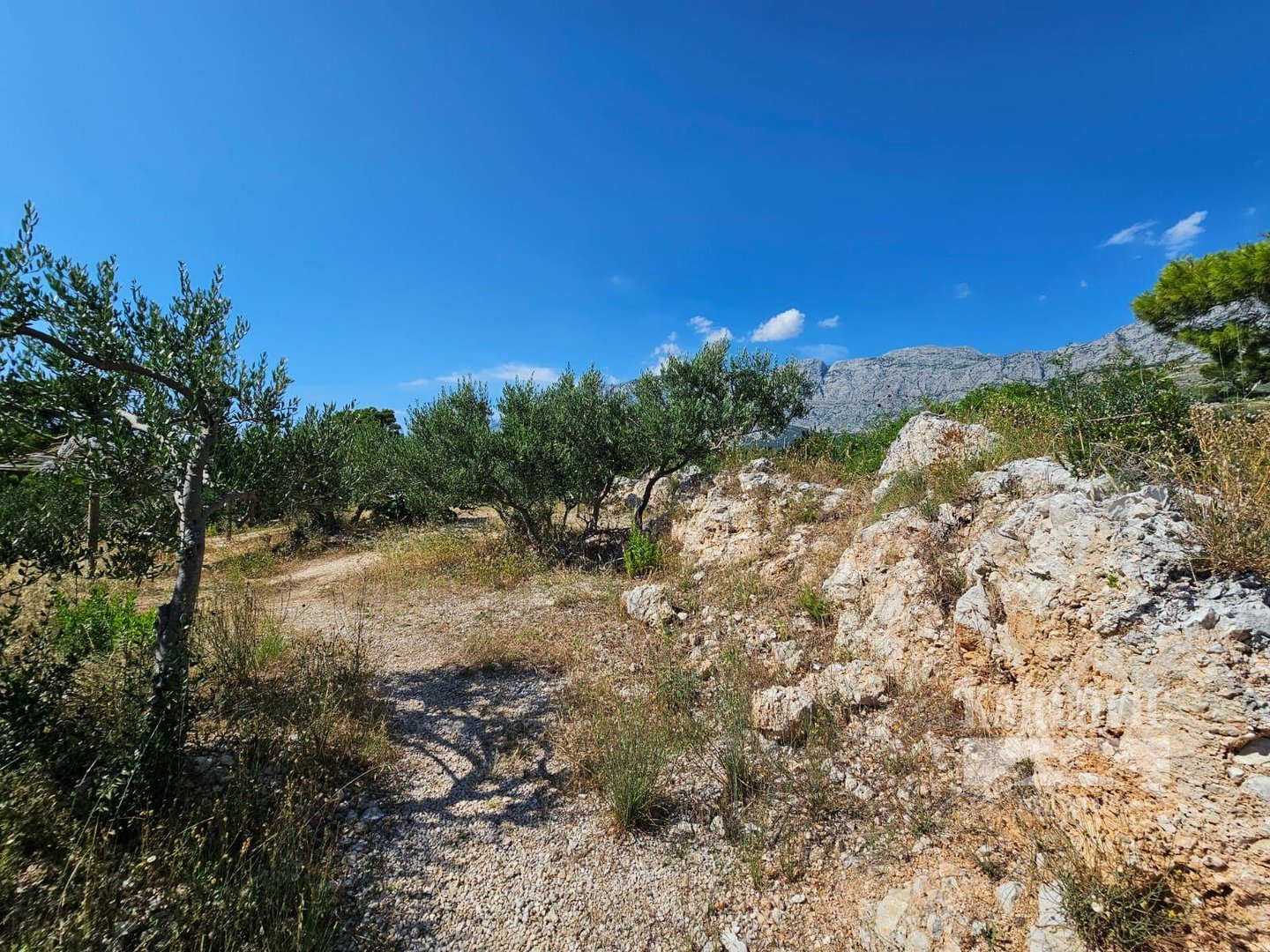 Terreno In vendita - Splitsko-dalmatinska Tučepi