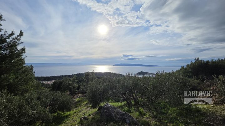 Terrain À vendre - Splitsko-dalmatinska Makarska - foto 2/21