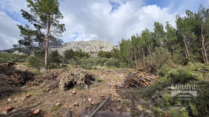 Terrain À vendre - Splitsko-dalmatinska Makarska - foto 4/21