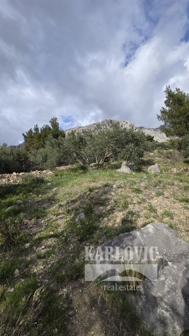 Terrain À vendre - Splitsko-dalmatinska Makarska