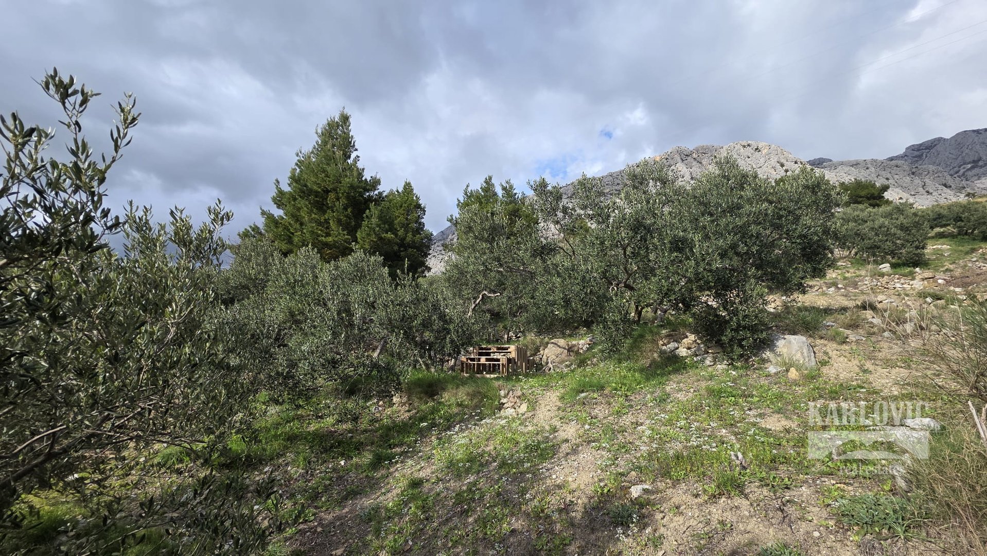 Terrain À vendre - Splitsko-dalmatinska Makarska