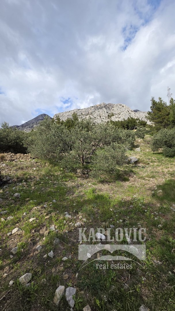 Terrain À vendre - Splitsko-dalmatinska Makarska