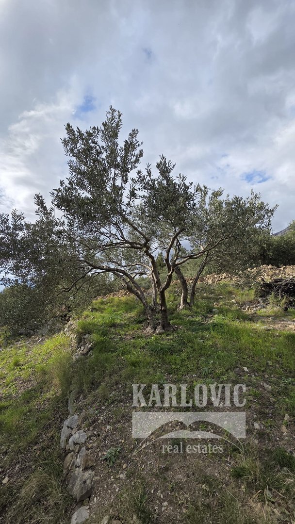 Terrain À vendre - Splitsko-dalmatinska Makarska