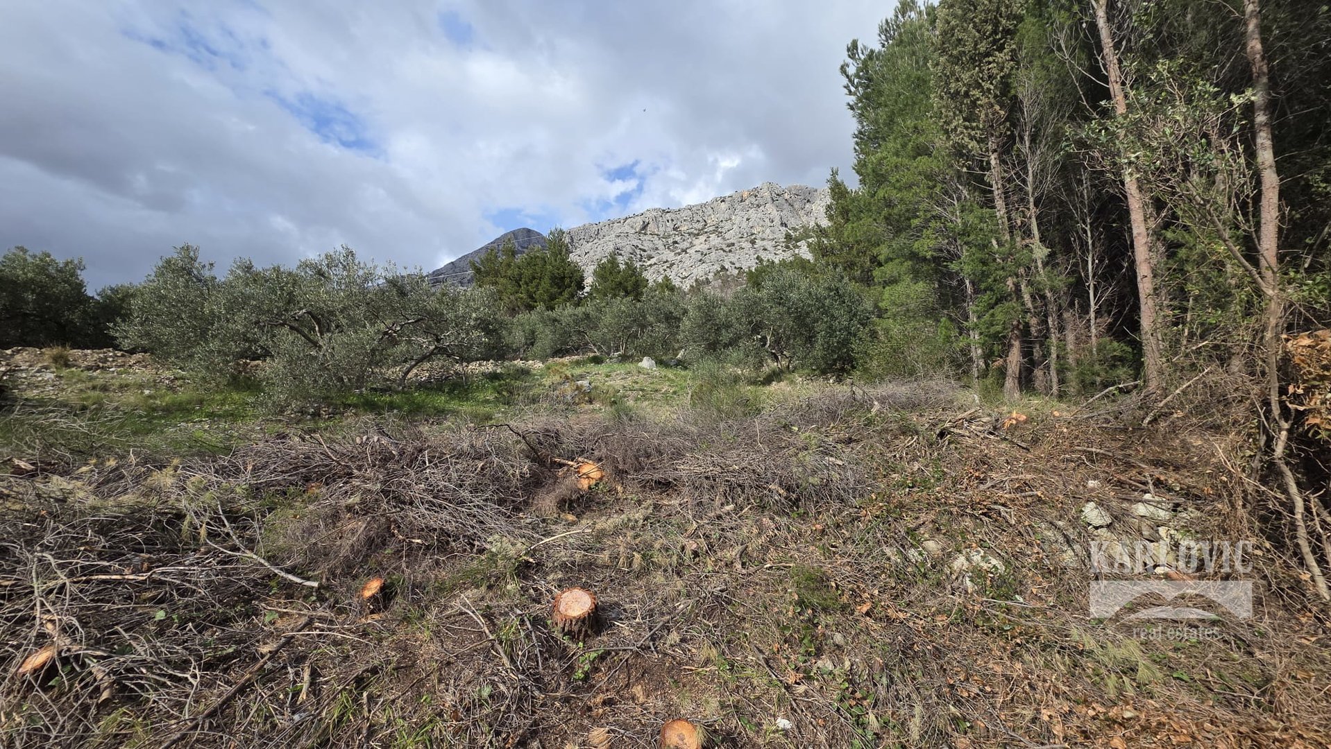 Terrain À vendre - Splitsko-dalmatinska Makarska
