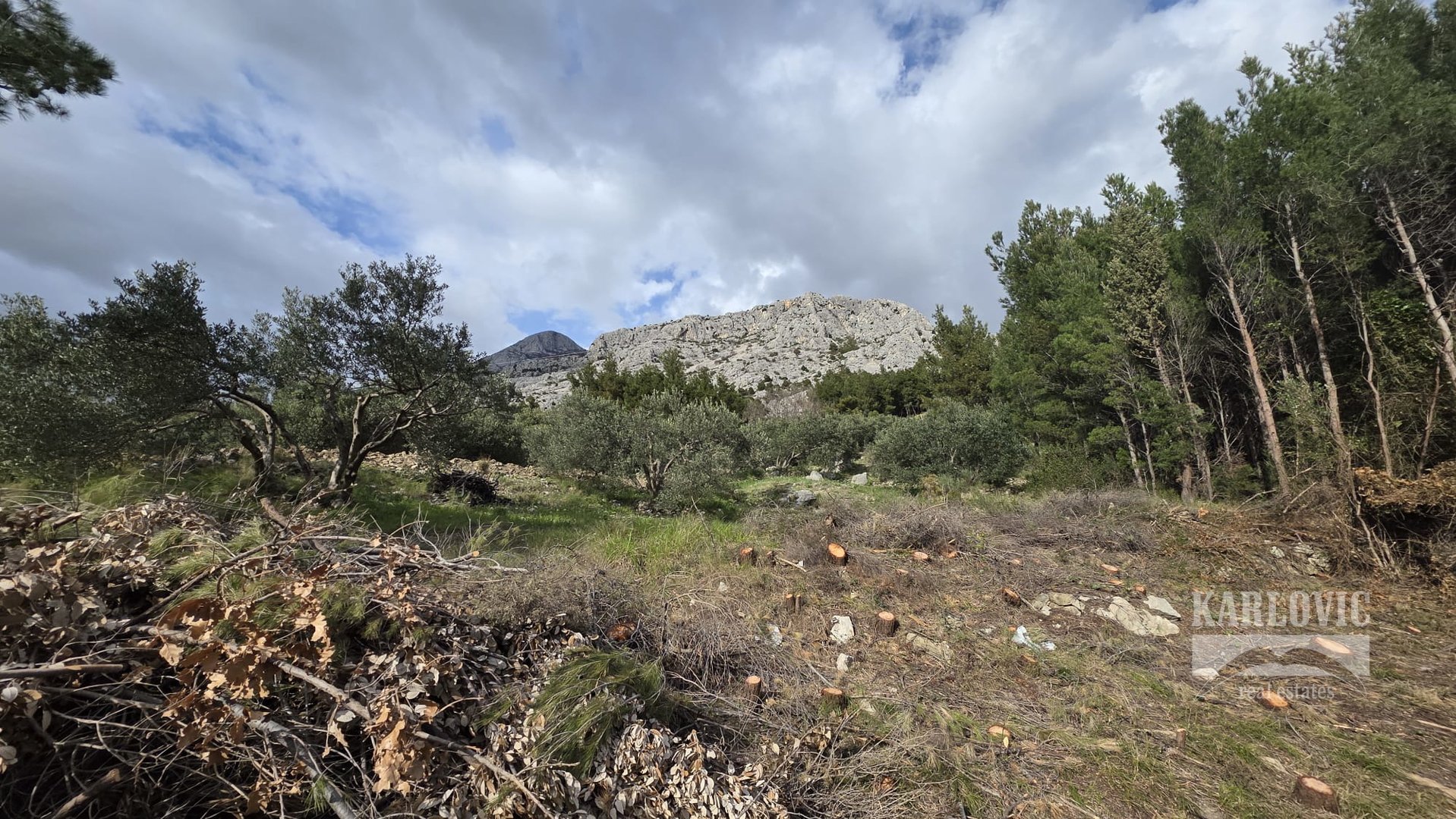 Terrain À vendre - Splitsko-dalmatinska Makarska