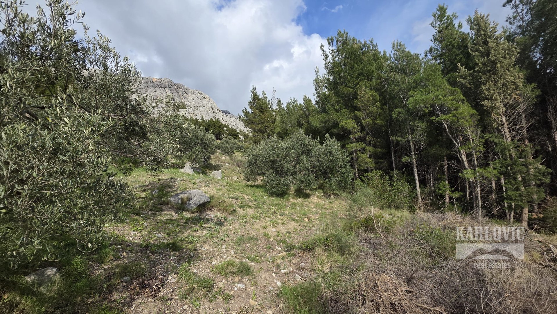 Terrain À vendre - Splitsko-dalmatinska Makarska