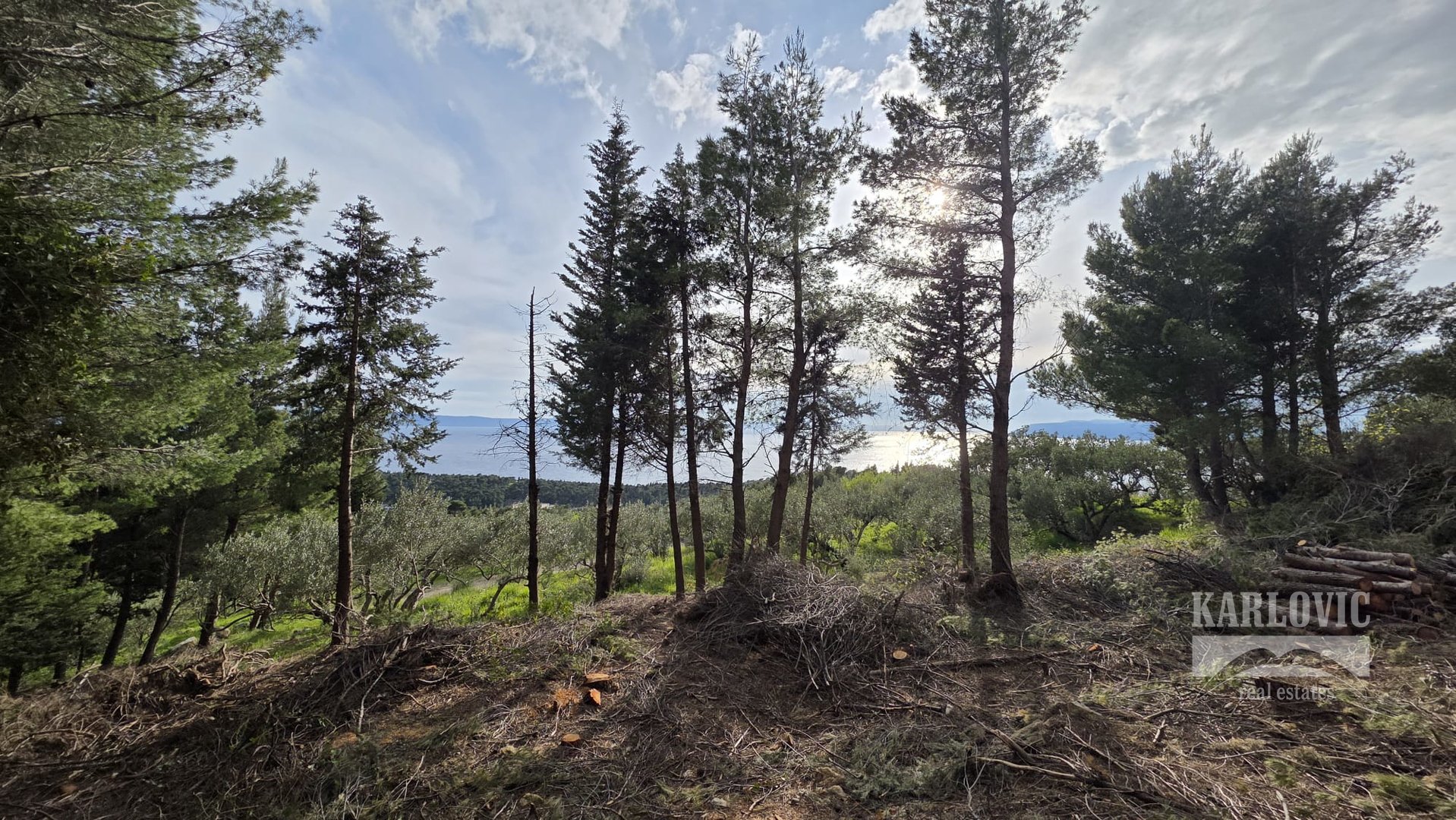 Terrain À vendre - Splitsko-dalmatinska Makarska