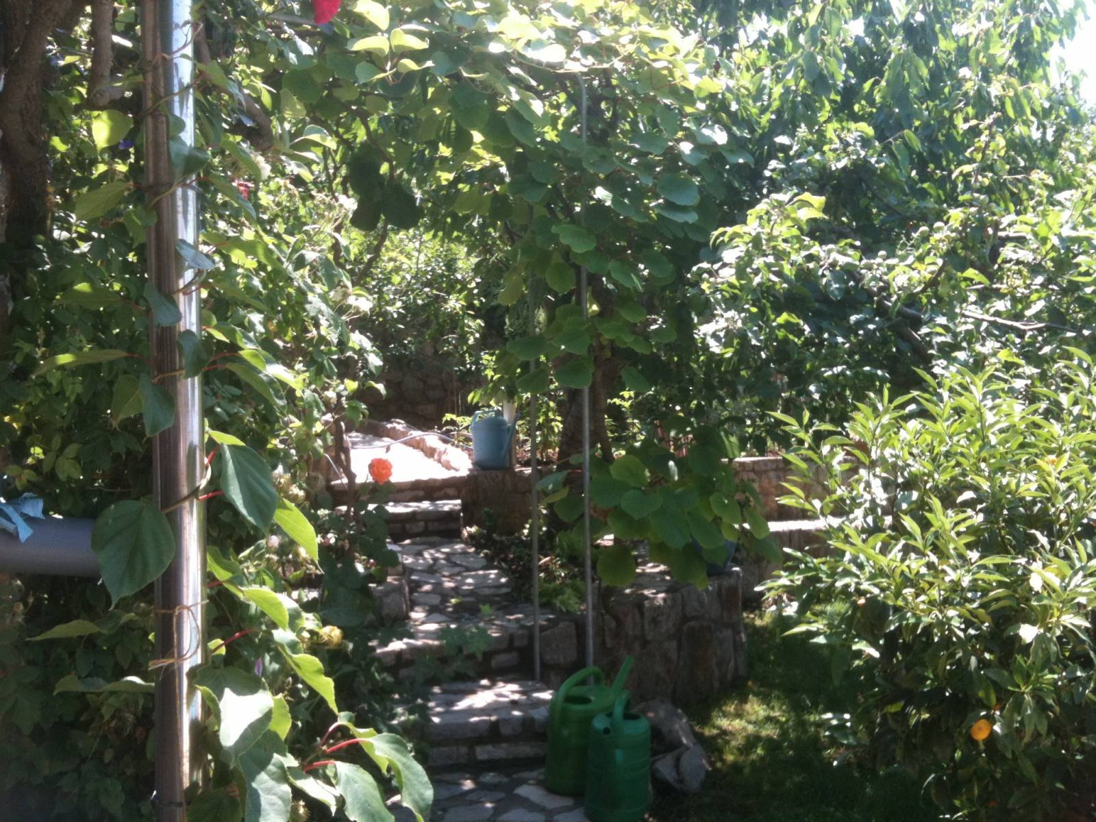 House For sale - Primorsko-goranska Smokvica Krmpotska