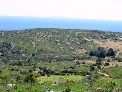 Land For sale - Splitsko-dalmatinska Vis - foto 2/3