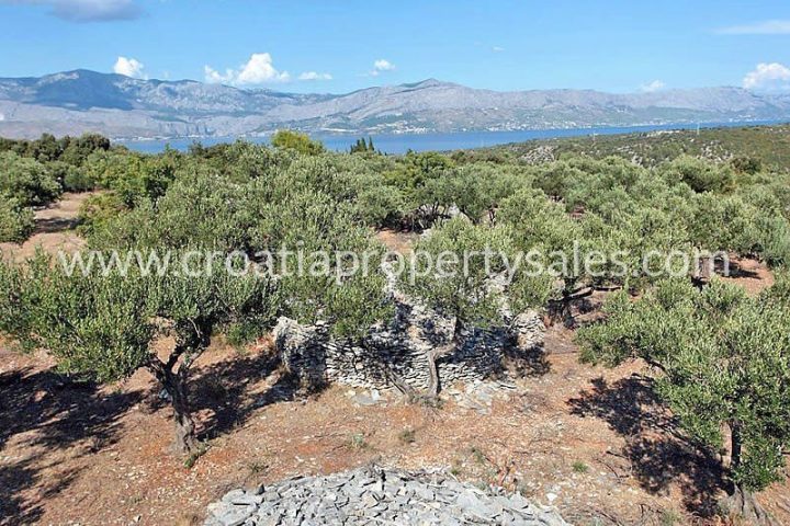 Land for sale 8100 m² – Brac