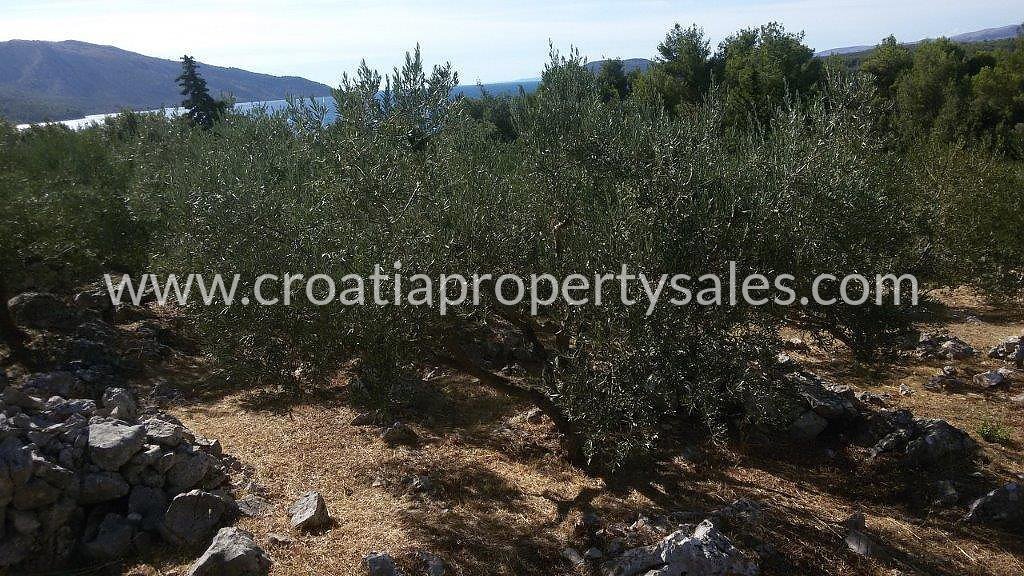 Terreno In vendita - Splitsko-dalmatinska Hvar - foto 4/5