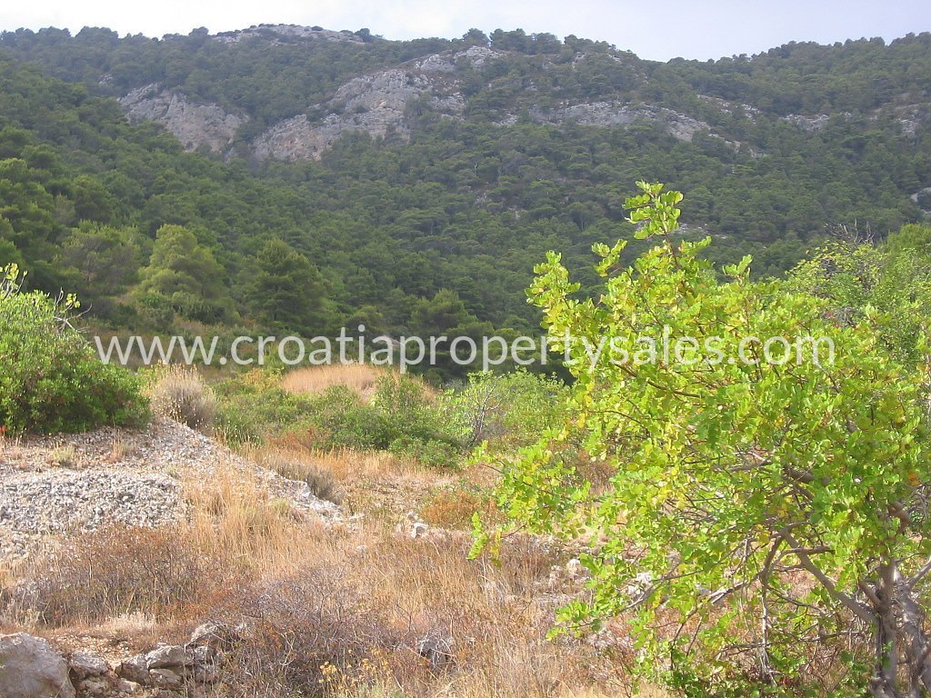 Terrain À vendre - Splitsko-dalmatinska Vis