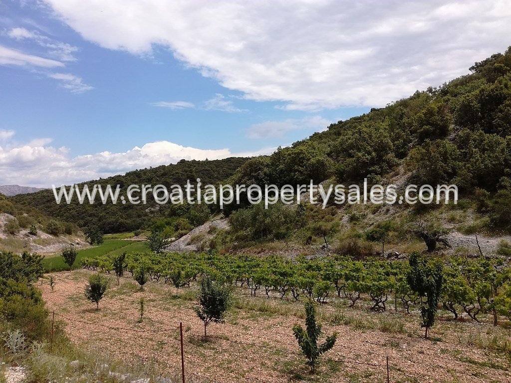 Terreno In vendita - Brac - foto 5/7