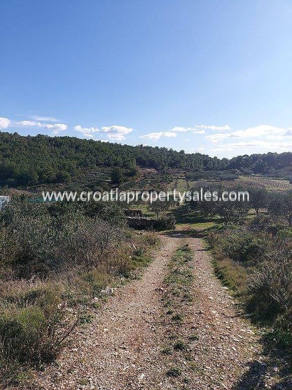 Terrain À vendre - Splitsko-dalmatinska Vis