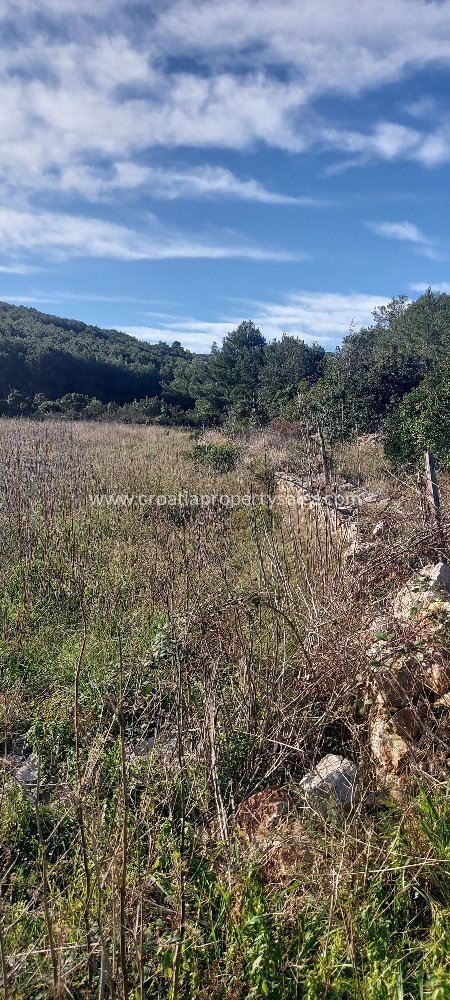 Terrain À vendre - Splitsko-dalmatinska Vis