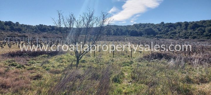 Terreno in vendita 2133 m² – Vis