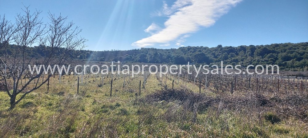 Land For sale - Splitsko-dalmatinska Vis - foto 2/7