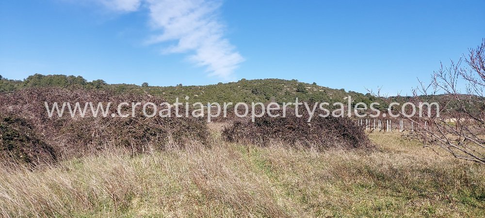 Land For sale - Splitsko-dalmatinska Vis - foto 4/7