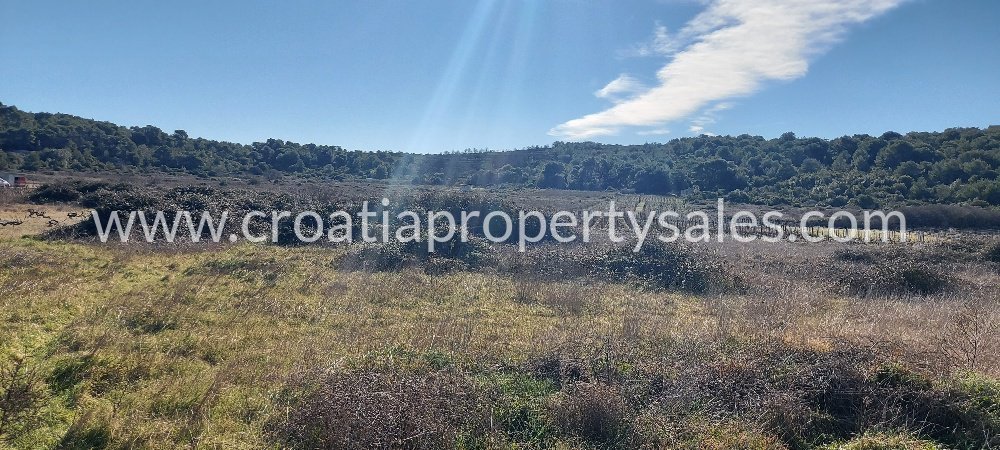 Terrain À vendre - Splitsko-dalmatinska Vis