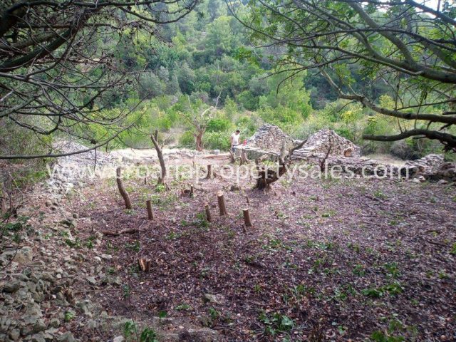 House For sale - Splitsko-dalmatinska Vis - foto 5/6