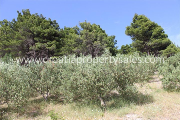 Land For sale - Splitsko-dalmatinska Omiš - foto 3/6