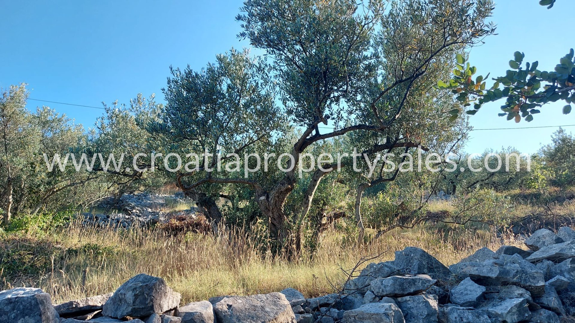 Land For sale - Solta - foto 2/6