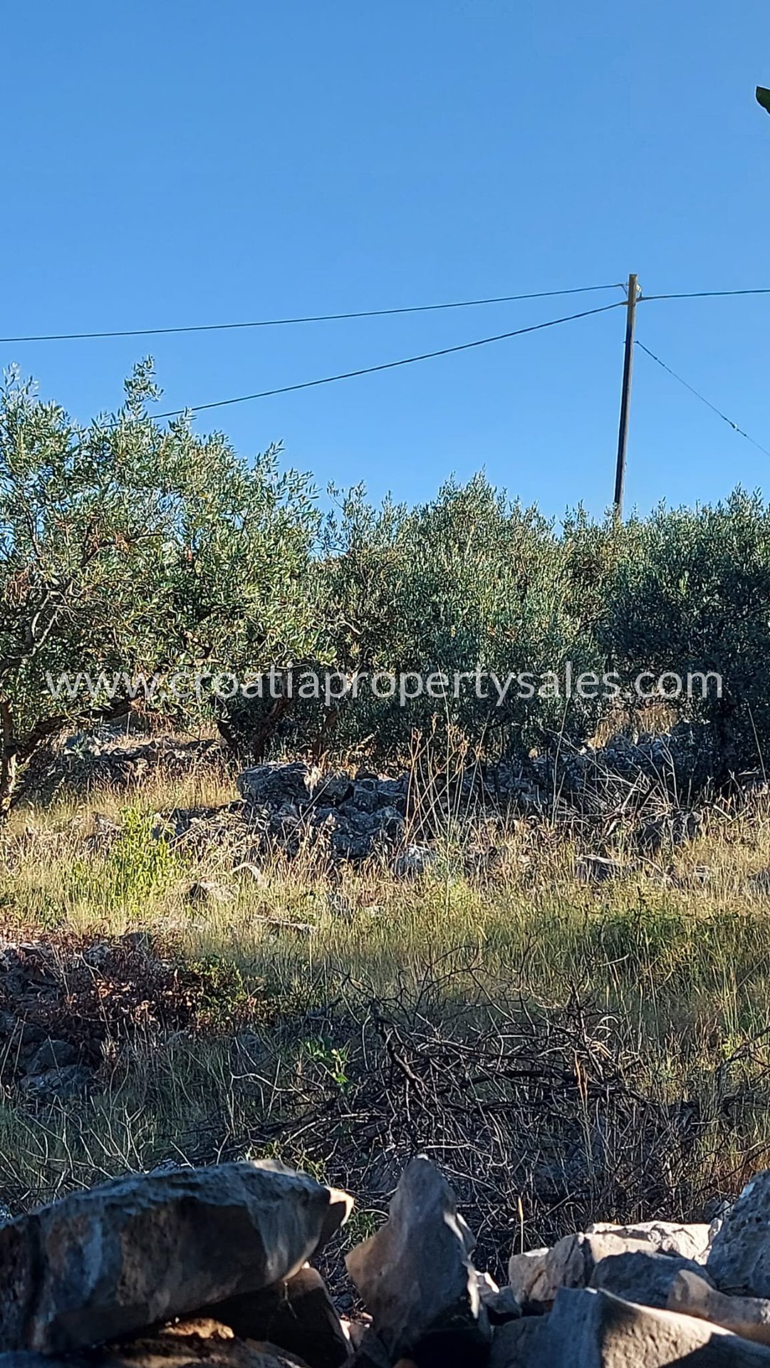 Land For sale - Solta - foto 5/6