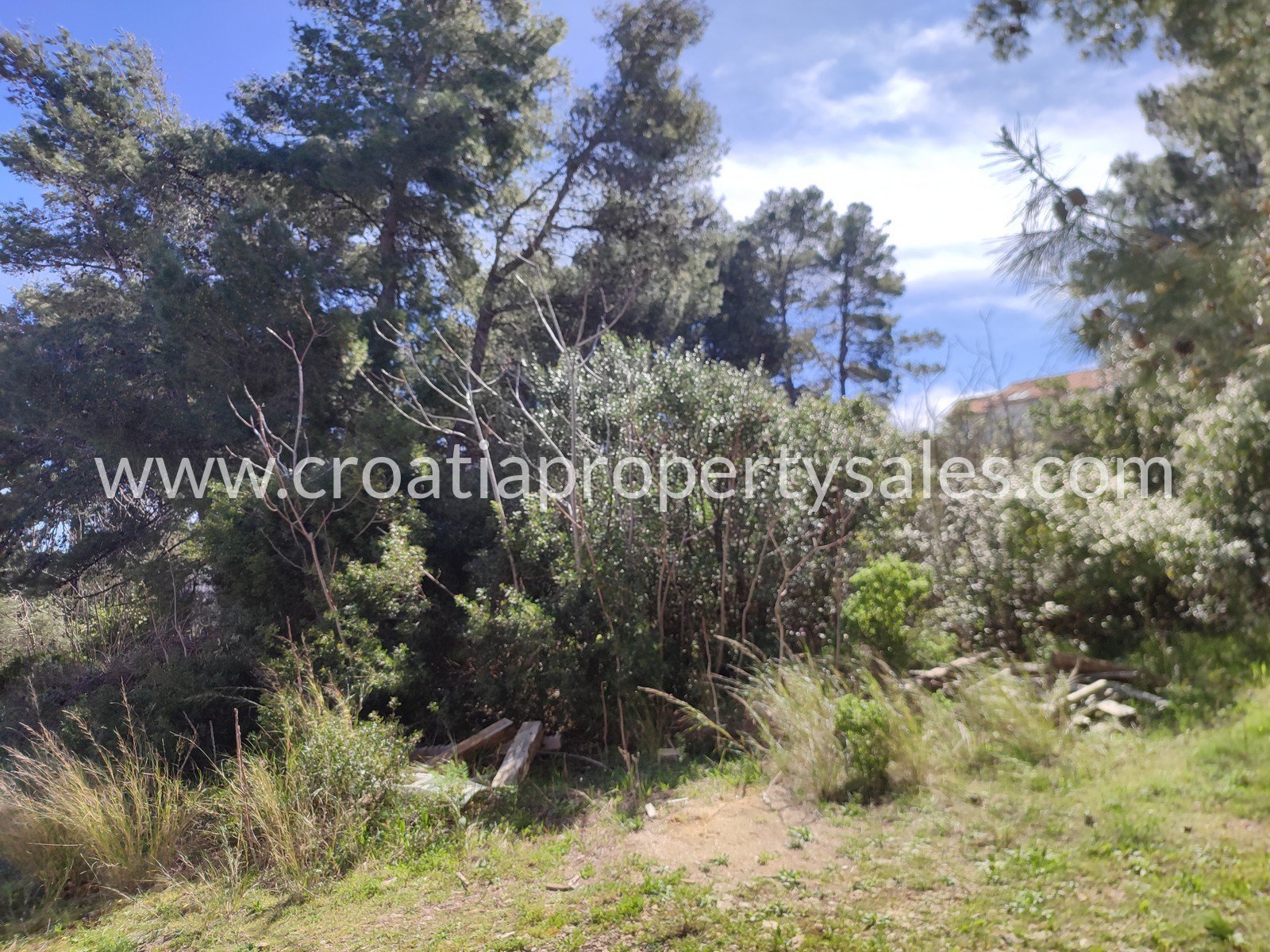 Zemljište Na prodaju -  Brac